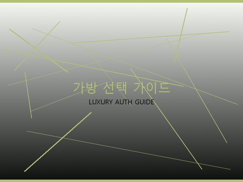 폴로 레플리카 사이트 가방 선택 가이드