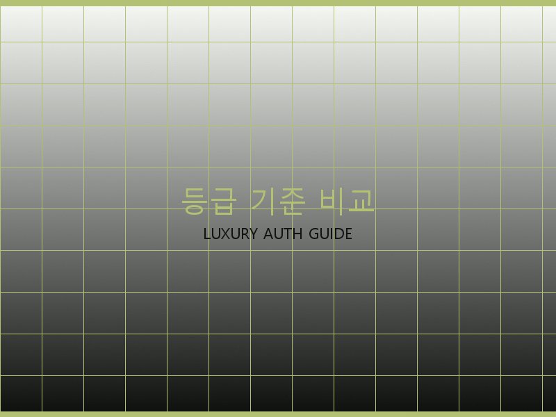 폴로 레플리카 사이트 등급 기준 비교